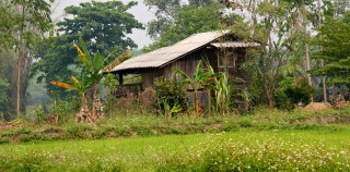 Perfect day around Chiang Kham/North of Thailand