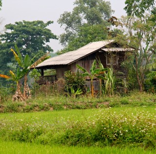 Perfect day around Chiang Kham/North of Thailand