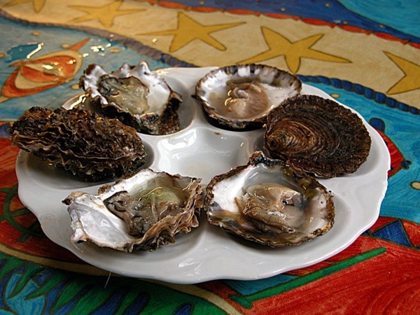 Rogowska, Richard Haward's Oysters 2