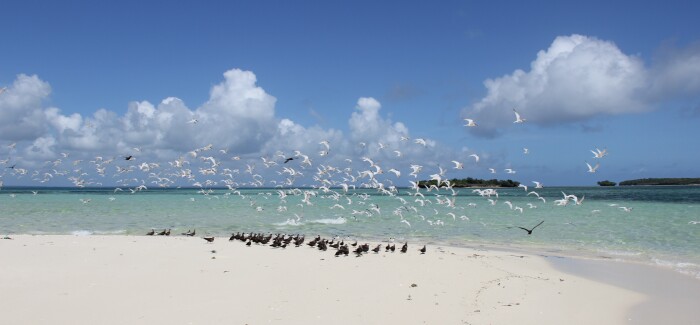 8 things you didn’t know about the Zanzibar