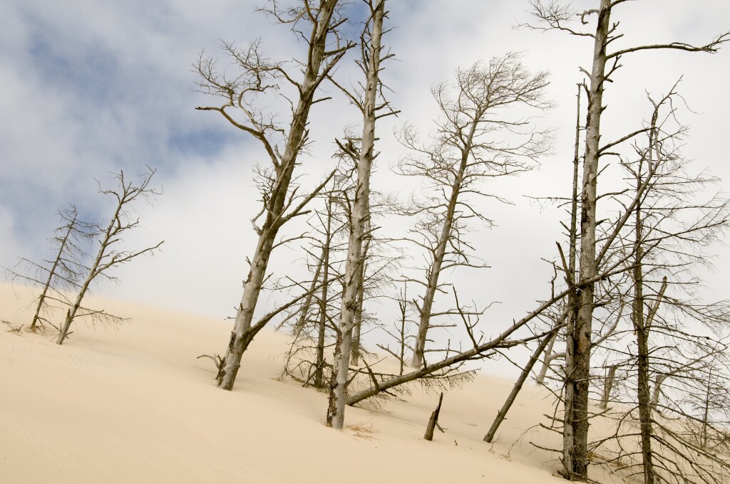 the-sand-dunes-2428647_1920