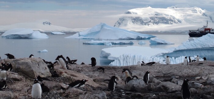 Antarktyda – rozmowa z Podróże Wojownika i Lalą Horosz